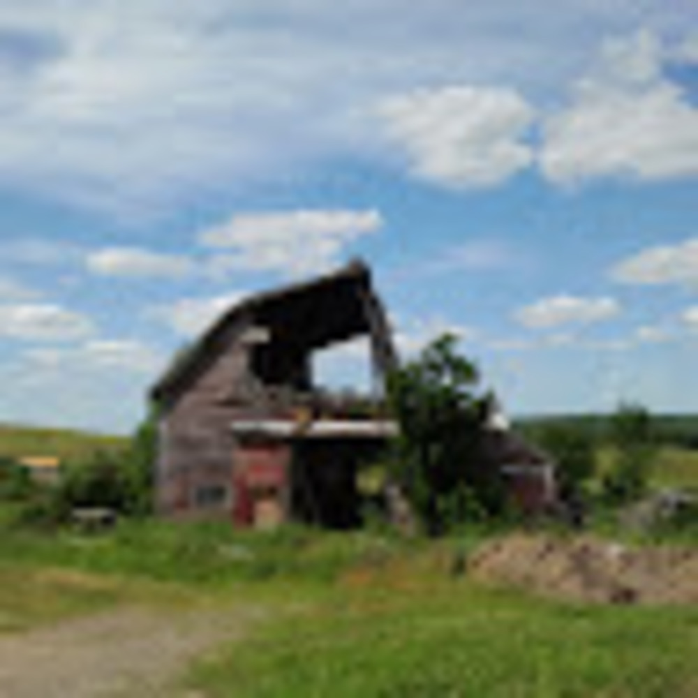 Meet your Posher, Eva